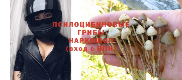PSILOCYBIN Верхний Тагил