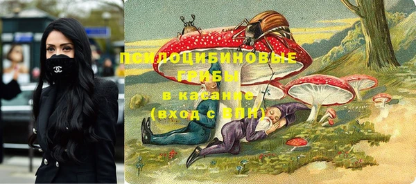 mdpv Верея