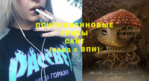 mdpv Верея