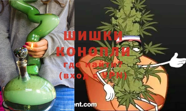 стаф Тайга