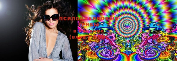 PSILOCYBIN Верхний Тагил