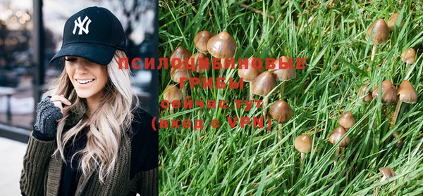 PSILOCYBIN Верхний Тагил