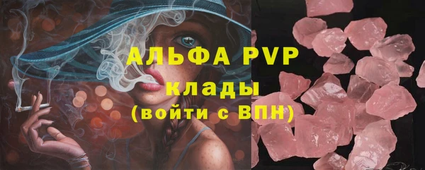 PSILOCYBIN Верхний Тагил