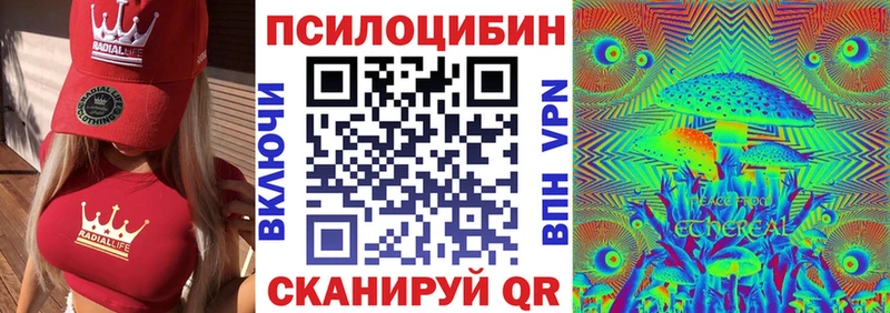 цены наркотик  Кинешма  Галлюциногенные грибы Psilocybine cubensis 